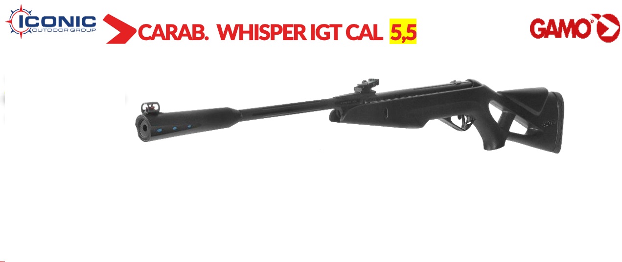Carabina de aire comprimido Gamo Whisper IGT 5,5 mm